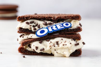 Delicious Oreo ice cream sandwich, a perfect blend of Oreo & cream.
